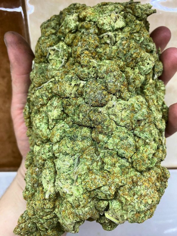 🍋 Lemon kix 🫨